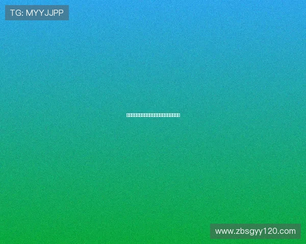 星速下载器全新升级助力高速稳定资源下载体验